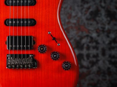 Paul Reed Smith(PRS) Fiore Amaryllis / Gloss SSH