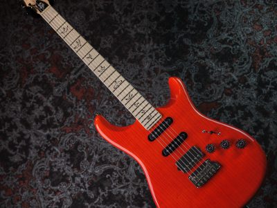 Paul Reed Smith(PRS) Fiore Amaryllis / Gloss SSH