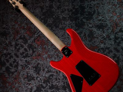 Paul Reed Smith(PRS) Fiore Amaryllis / Gloss SSH