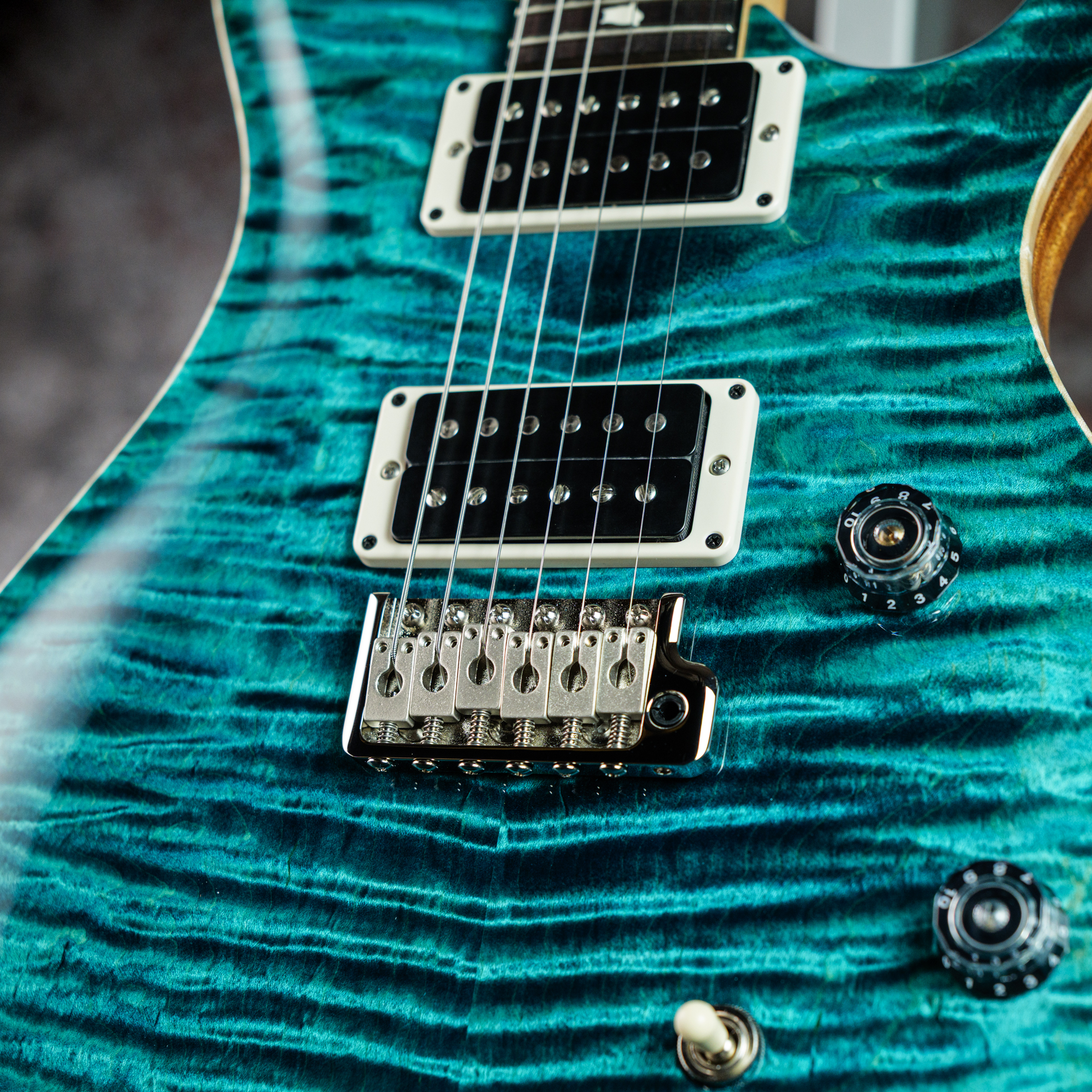 Paul Reed Smith(PRS) CE 24 Faded Abalone