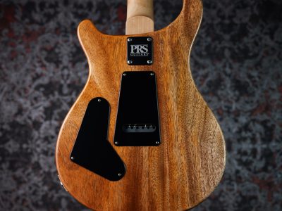 Paul Reed Smith(PRS) CE 24 Faded Abalone