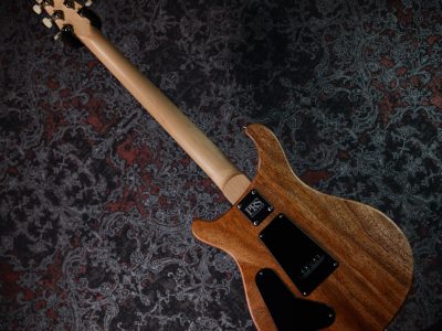Paul Reed Smith(PRS) CE 24 Faded Abalone