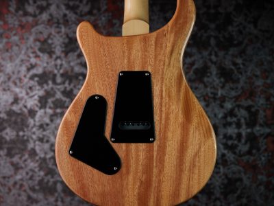 PRS SE Custom 24 Blue Matteo