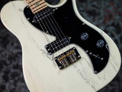 PRS 2025 SE NF 53 White Doghair