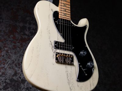 PRS 2025 SE NF 53 White Doghair