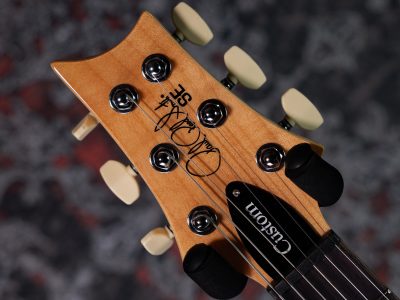 PRS SE Custom 24 Blue Matteo