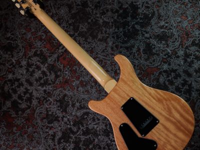 PRS SE Custom 24 Blue Matteo