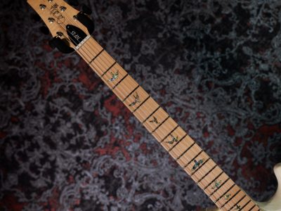 PRS 2025 SE NF 53 White Doghair