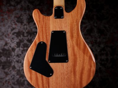 Paul Reed Smith(PRS) SE CE24 Maple top / Maple FB Slate Blue (Natural Back)