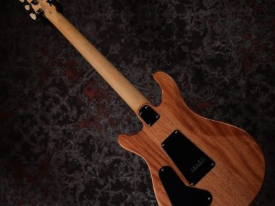 Paul Reed Smith(PRS) SE CE24 Maple top / Maple FB Slate Blue (Natural Back)