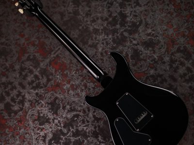 Paul Reed Smith(PRS) 2025 SE Custom 24 Quilt Amethyst | 札幌の楽器