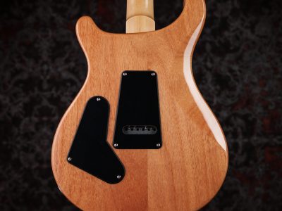 PRS SE Custom 24 Blue Matteo