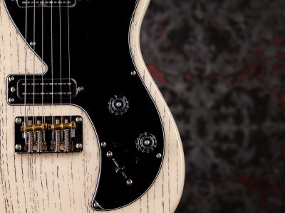 PRS 2025 SE NF 53 White Doghair