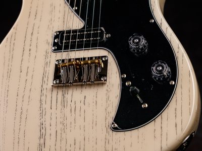 PRS 2025 SE NF 53 White Doghair