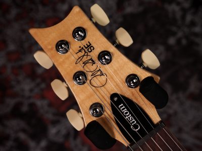 PRS SE Custom 24 Blue Matteo