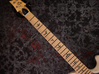 PRS 2025 SE NF 53 White Doghair