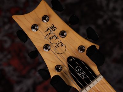 PRS 2025 SE NF 53 White Doghair