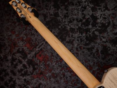 PRS 2025 SE NF 53 White Doghair