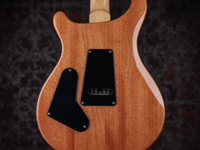 Paul Reed Smith(PRS) SE Custom 24 Slate Blue