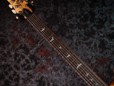 Paul Reed Smith(PRS) SE Custom 24 Slate Blue