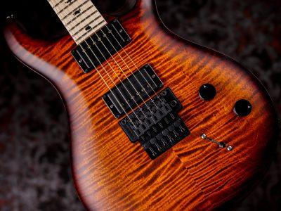 PRS DUSTIE WARING CE 24 FLOYD Burnt Amber Wraparound Smokeburst