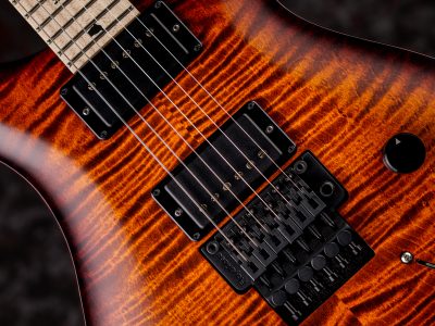 PRS DUSTIE WARING CE 24 FLOYD Burnt Amber Wraparound Smokeburst