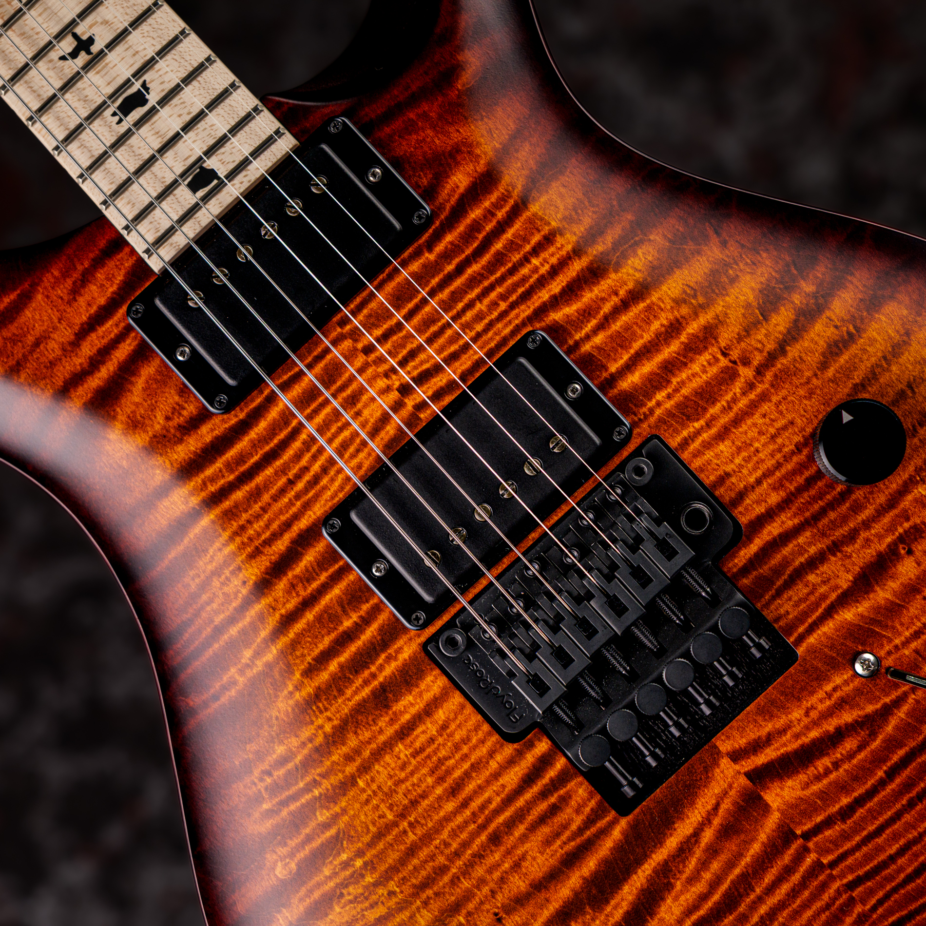 PRS DUSTIE WARING CE 24 FLOYD Burnt Amber Wraparound Smokeburst