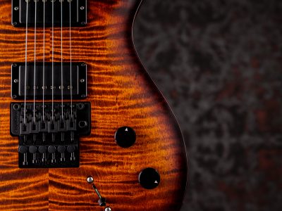 PRS DUSTIE WARING CE 24 FLOYD Burnt Amber Wraparound Smokeburst