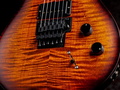 PRS DUSTIE WARING CE 24 FLOYD Burnt Amber Wraparound Smokeburst