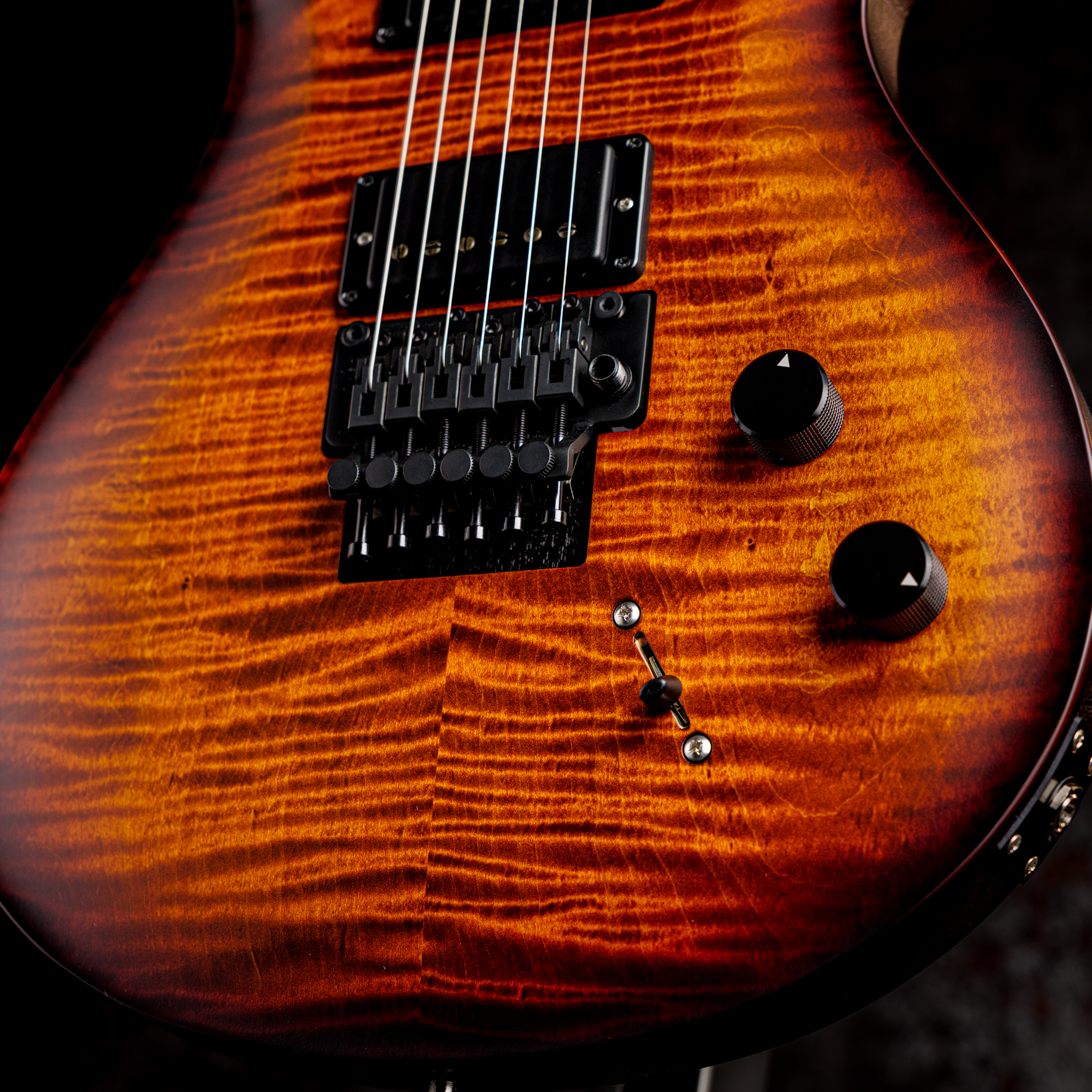 PRS DUSTIE WARING CE 24 FLOYD Burnt Amber Wraparound Smokeburst