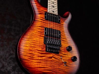 PRS DUSTIE WARING CE 24 FLOYD Burnt Amber Wraparound Smokeburst