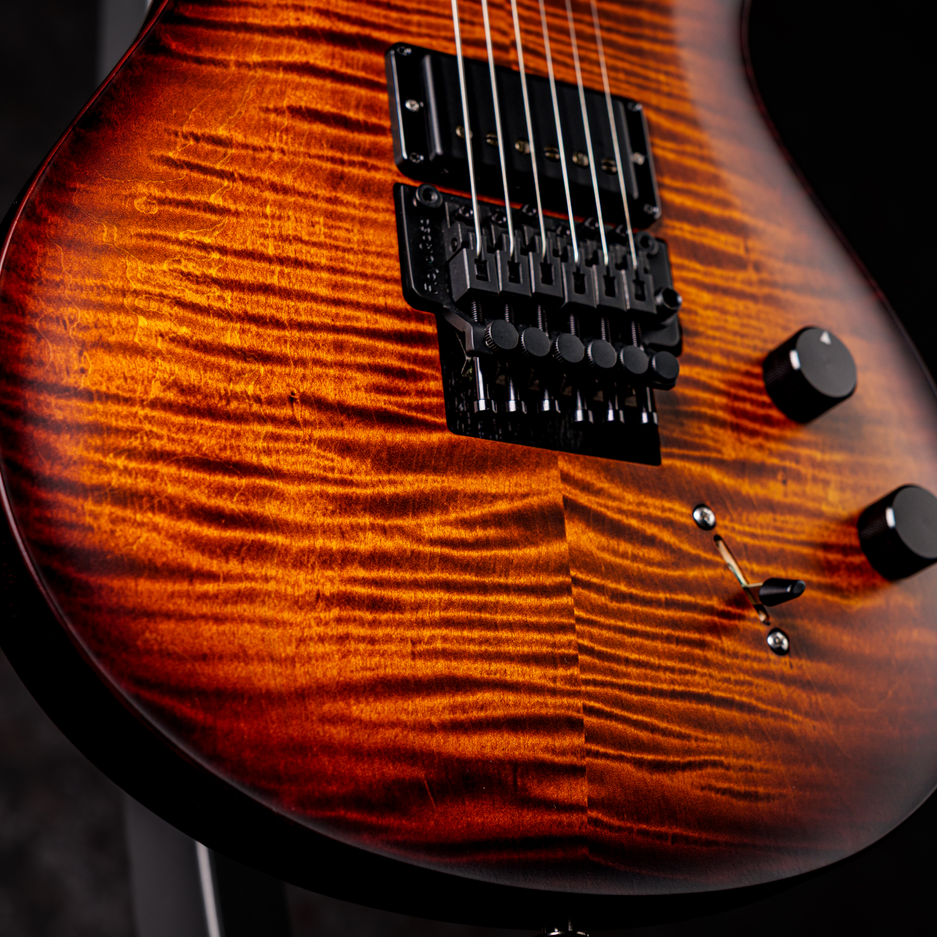 PRS DUSTIE WARING CE 24 FLOYD Burnt Amber Wraparound Smokeburst
