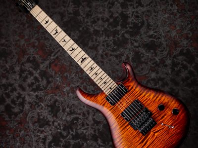 PRS DUSTIE WARING CE 24 FLOYD Burnt Amber Wraparound Smokeburst