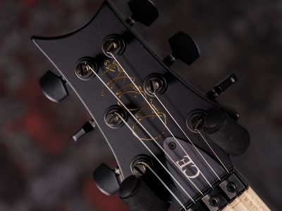 PRS DUSTIE WARING CE 24 FLOYD Burnt Amber Wraparound Smokeburst
