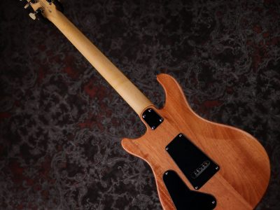 Paul Reed Smith(PRS) SE CE24 Maple top / Maple FB Slate Blue (Natural Back)