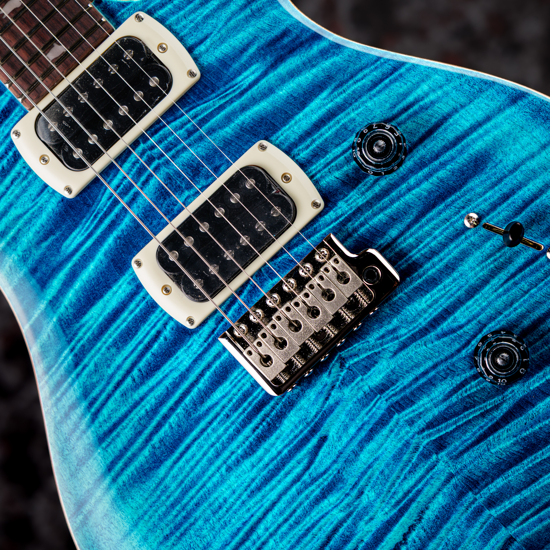 Paul Reed Smith(PRS) SE Custom 24 Blue Matteo (Natural Back) (Japan Special)