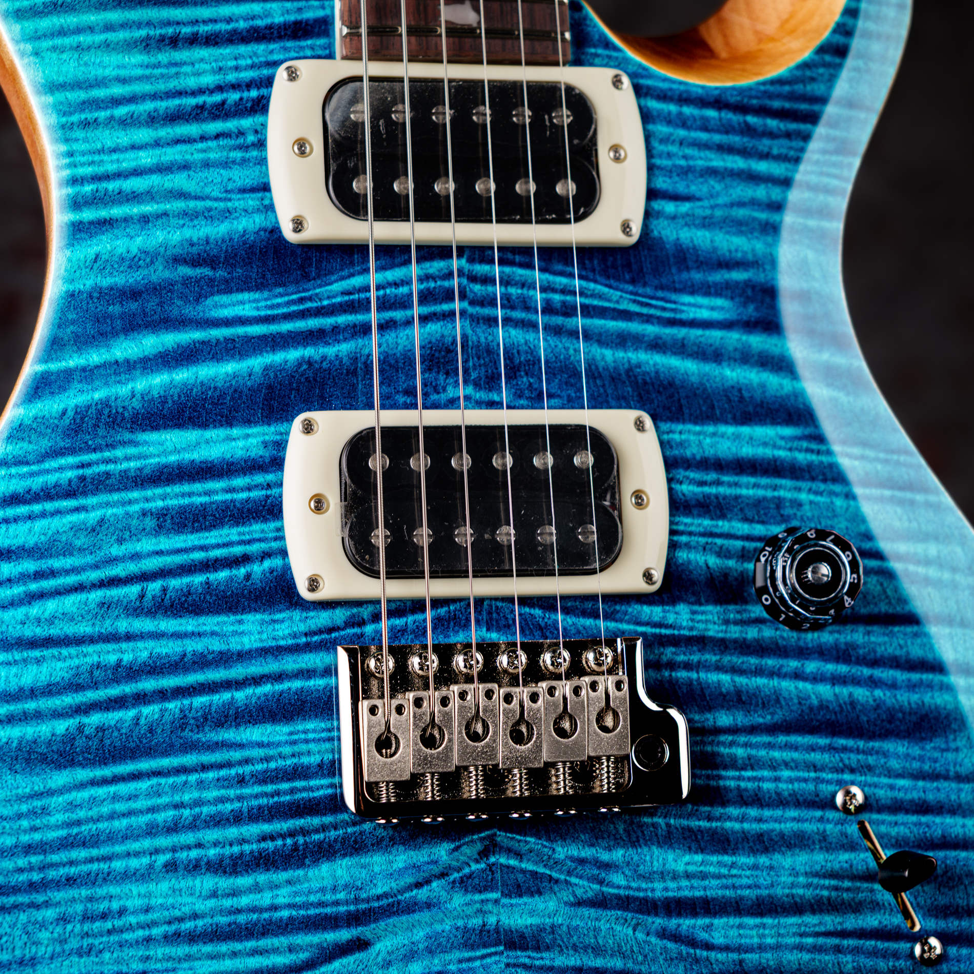 Paul Reed Smith(PRS) SE Custom 24 Blue Matteo (Natural Back) (Japan Special)