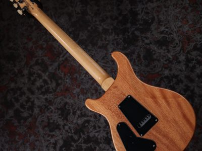 Paul Reed Smith(PRS) SE Custom 24 Blue Matteo (Natural Back) (Japan Special)
