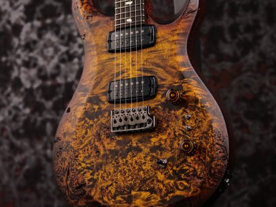 Paul Reed Smith(PRS) 2026 S2 Custom 24-08 Poplar Burl Limited Edition Black Gold Burst