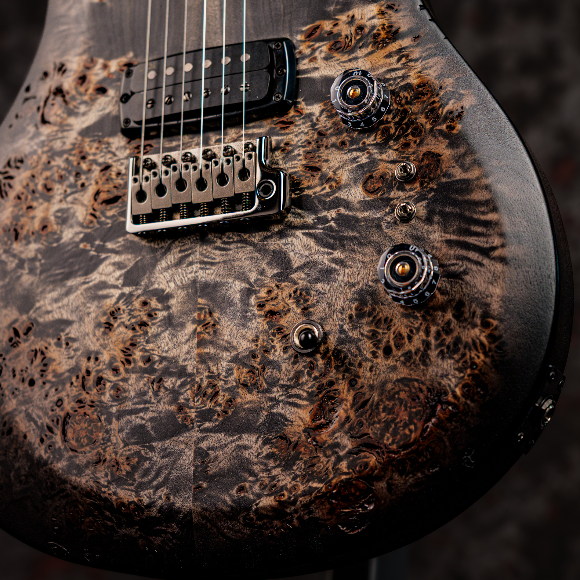Paul Reed Smith(PRS) 2026 S2 Custom 24-08 Poplar Burl Limited Edition Charcoal Burst