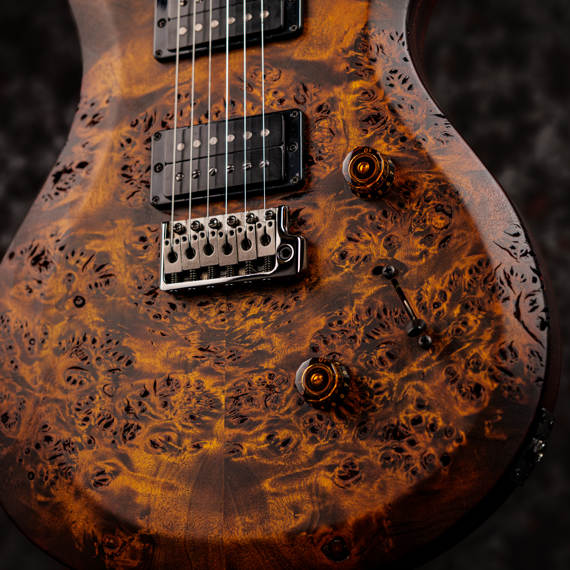 Paul Reed Smith(PRS) 2026 S2 Custom 24 Poplar Burl Limited Edition Black Gold Burst