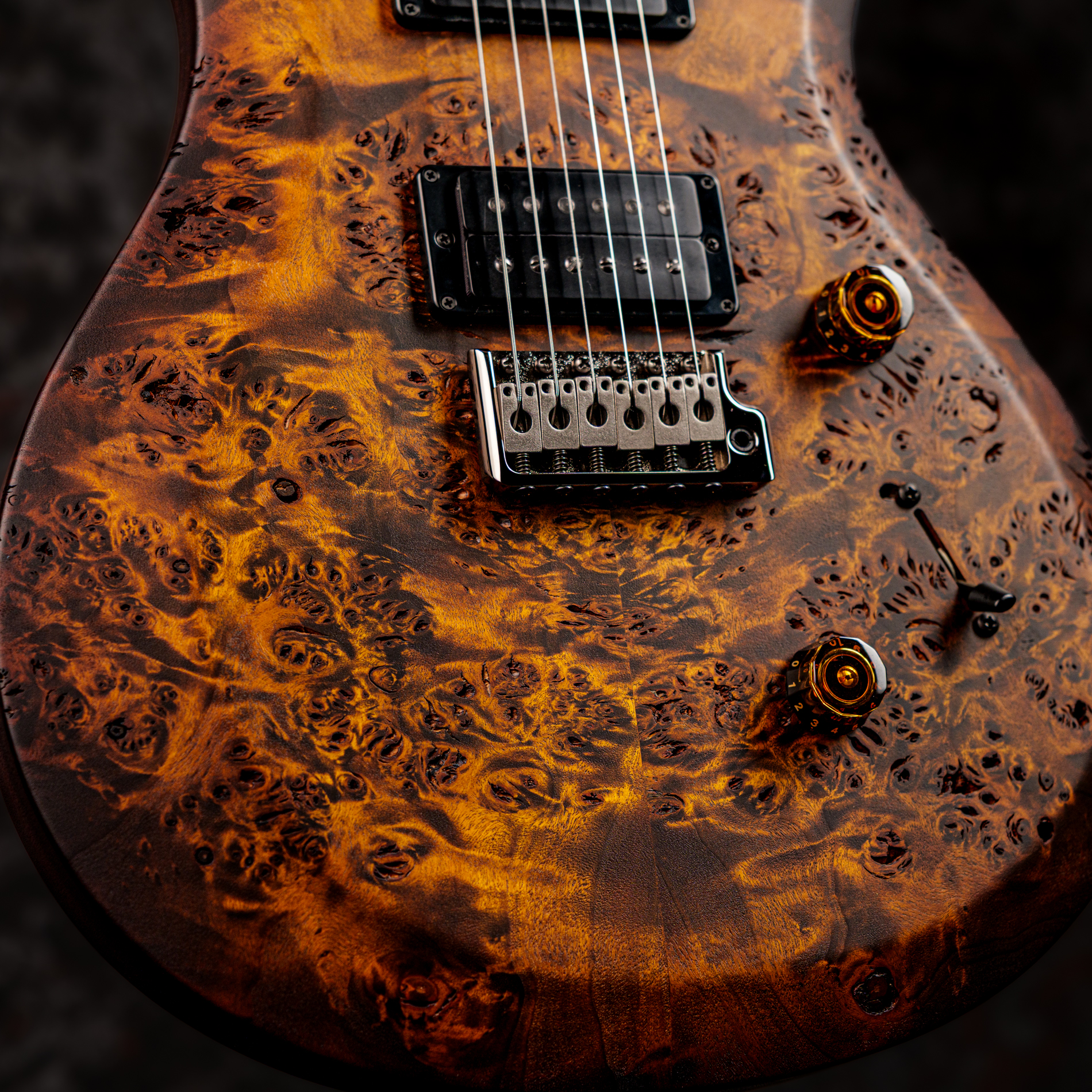 Paul Reed Smith(PRS) 2026 S2 Custom 24 Poplar Burl Limited Edition Black Gold Burst