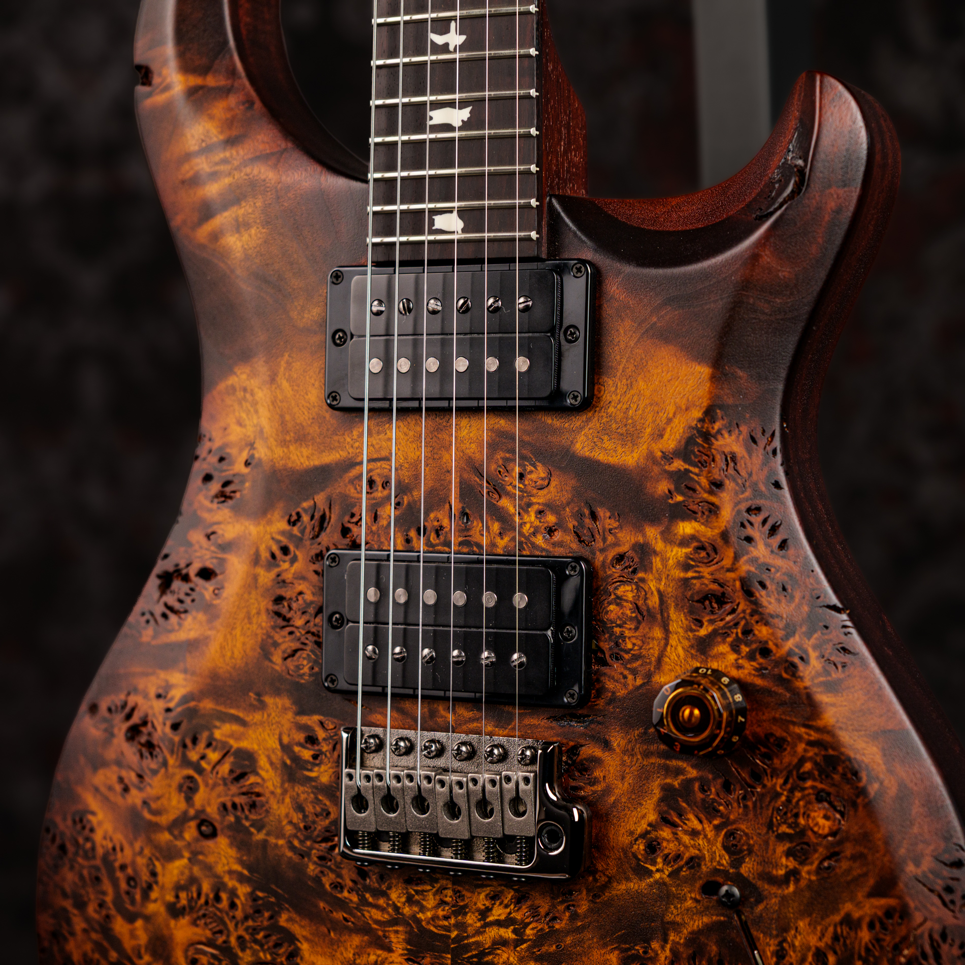Paul Reed Smith(PRS) 2026 S2 Custom 24 Poplar Burl Limited Edition Black Gold Burst