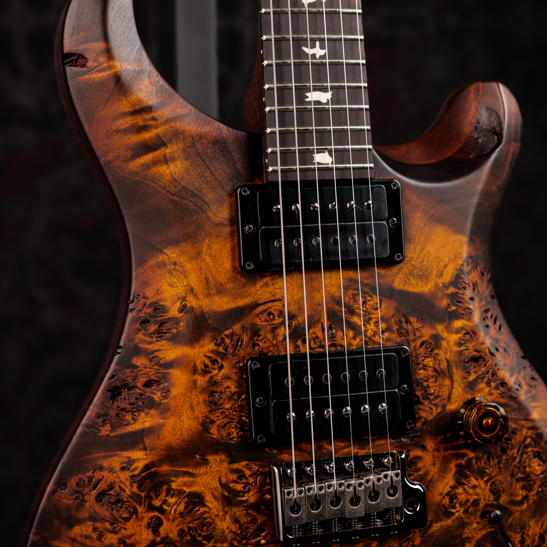 Paul Reed Smith(PRS) 2026 S2 Custom 24 Poplar Burl Limited Edition Black Gold Burst