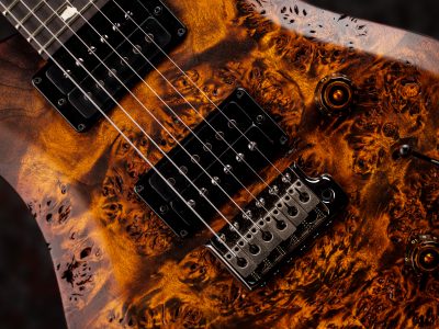 Paul Reed Smith(PRS) 2026 S2 Custom 24 Poplar Burl Limited Edition Black Gold Burst