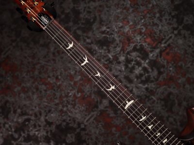 Paul Reed Smith(PRS) 2026 S2 Custom 24 Poplar Burl Limited Edition Black Gold Burst